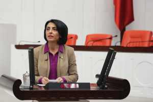 Kayışoğlu: "Bursa'nın dağı taşı RES'ler i&ccedil;in kamulaştırılacak"