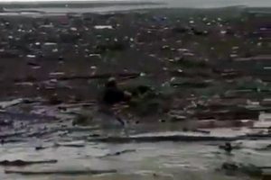 Sele kapılan k&ouml;peği vatandaş y&uuml;zerek kurtardı
