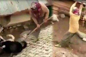 Sosyal medyada tepki &ccedil;eken g&ouml;r&uuml;nt&uuml;lerle ilgili a&ccedil;ıklama