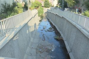 İstanbul Avcılar'da Batı Nil Vir&uuml;s&uuml;(BNV) alarmı