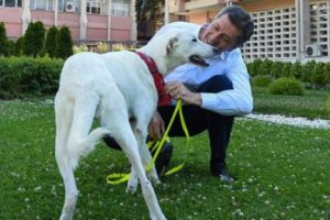 Okulların hayvan sahiplenebilmesi i&ccedil;in &ccedil;alışma başlatıldı