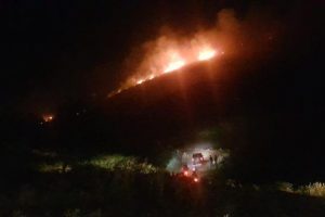 Aydın'da korkutan yangın! Ormanlık alana doğru ilerliyor