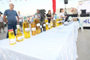 Bursa Tirilye Zeytin Şenliği başlıyor