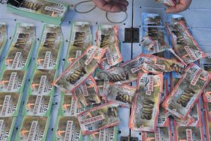 Doğan ailesi Milli Piyango'ya talip oldu