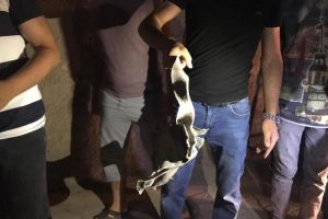 Suriye'den Ceylanpınar'a atılan iki roketten biri bir eve isabet etti