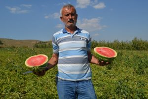 Bursa İneg&ouml;l'de karpuz ve kavun hasadı başladı, &uuml;reticilerin y&uuml;z&uuml; g&uuml;l&uuml;yor