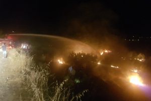 Manavgat'ta 2 hektarlık alan zarar g&ouml;rd&uuml;