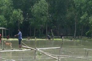 Bangladeş'de selde 61 kişi hayatını kaybetti