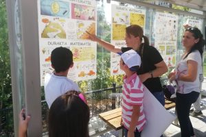 Otob&uuml;s durağında matematik &ouml;ğretilecek