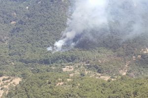 İzmir'de tabiat parkı yakınında orman yangını