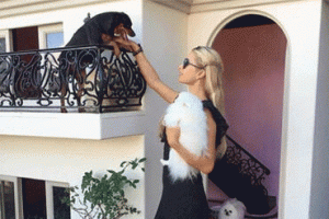Paris Hilton k&ouml;peklerine 325 bin dolara malikane yaptırdı