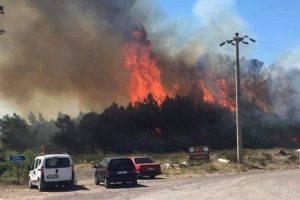 Ayvalık'taki orman yangını tatilcileri korkuttu