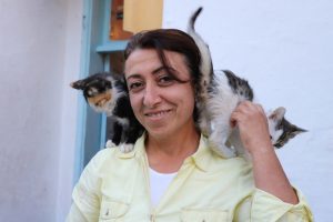 Kiraladığı evde 90 kediye bakıyor
