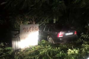 Polislerden ka&ccedil;an ş&uuml;phelilerin otomobili otların arasında bulundu
