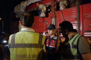 Kurbanlıkların İstanbul'a girişi başladı