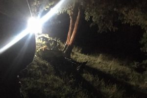 Kayıp &ccedil;ift&ccedil;i, nohut tarlasında &ouml;l&uuml; bulundu