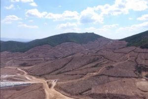 Kaz Dağı'ndaki altın madeni i&ccedil;in yapılan ağa&ccedil; katliamı