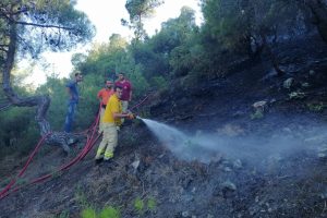 &Ccedil;orum'da orman yangını; 2 hektar alan k&uuml;l oldu