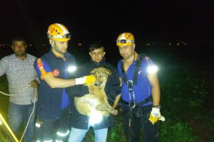Su kuyusuna d&uuml;şen k&ouml;peği AFAD kurtardı