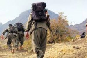 Teslim olan PKK'lı: Ter&ouml;ristler arasında g&uuml;ven sorunu had safhaya ulaştı