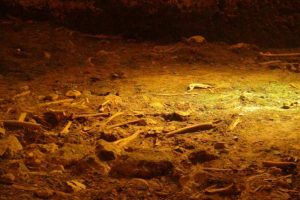 Mardin'de halka a&ccedil;ık sergilenen 1500 yıllık toplu mezarlık