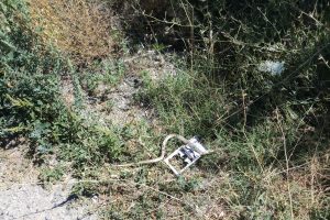 Yılanı vurmak isterken hamile eşini &ouml;ld&uuml;rd&uuml;