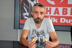Bilecik'te deniz canlıları fosilleri bulundu
