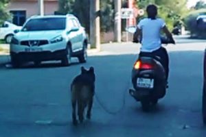 K&ouml;peğini motosiklete bağlayan kadına tepki