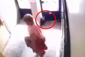 Sosyal medyada tepki &ccedil;eken g&ouml;r&uuml;nt&uuml;! Kapıya sıkışan kediyi &ouml;l&uuml;me terk etti!
