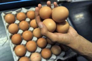 Bel&ccedil;ika'da yumurtada dioksin skandalı!