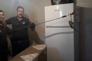 Eve giren yılanı itfaiye ekipleri &ccedil;ıkardı