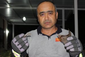 G&uuml;nlerdir boynundaki kavanozla yaşayan kedi sonunda kurtarıldı