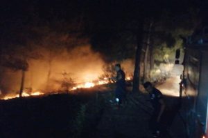 Havai fişek yangına neden oldu