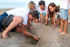 "Caretta yuvalarını kazmayın, balıklara yem oluyorlar"