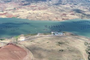 Sivas'tan Rusya'ya alabalık ihracatı