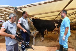 Bursa'da kurban yakalama timi bayrama hazır