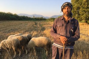 Siyaseti bıraktı, &ccedil;obanlık yapıyor