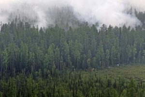 Rusya'da ormanı k&uuml;l eden yangınlar s&ouml;nd&uuml;r&uuml;lemiyor