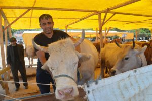 Bursa Mudanya'da kurbanlıklar satışa sunuldu