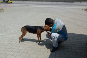 Bursa'da karşıdan karşıya ge&ccedil;emeyen k&ouml;peğin yardımına koştular