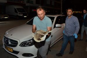 Yolda bulduğu yaralı k&ouml;peği kurtarmak i&ccedil;in kilometrelerce yol katetti