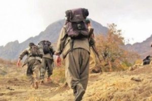 Hakkari'de PKK'lı 2 ter&ouml;rist teslim oldu