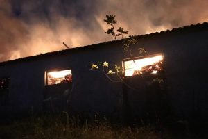 Yangında 5 bin saman balyası k&uuml;l oldu