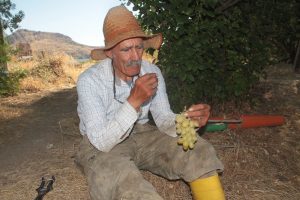 Onun hayatı &ouml;yk&uuml;lerde anlatılanlardan daha s&uuml;r&uuml;kleyici