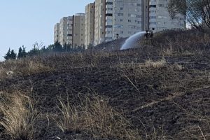 Beylikd&uuml;z&uuml;'nde otluk alanda yangın