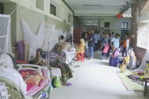 Bangladeş'te 25 bin kişi dang hummasından etkilendi