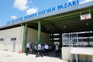 İzmit'te k&ouml;yl&uuml;lere &ouml;zel hayvan satış alanı