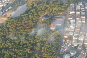 İzmir'de yerleşim yerlerine yakın alanda korkutan orman yangını