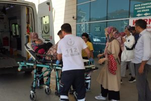 Bursa'da armut ağacından düşen kadın yaralandı