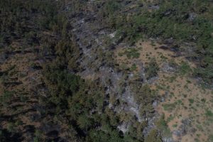 Bursa Orhaneli'de 60 hektarlık ormanlık alan kül oldu